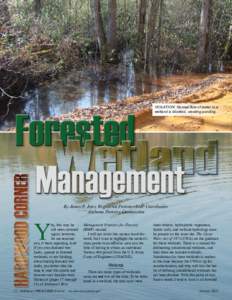 Wetland / Clean Water Act / Forestry / Earth / Environmental engineering / Water pollution / Environmental law / Best management practice for water pollution / Environment / Water / Aquatic ecology