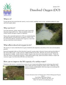 January[removed]Dissolved Oxygen (DO) What is it? Oxygen that has been mixed into the water by; waves on lakes, tumbling water in rivers, and photosynthesis by algae and rooted aquatic plants.