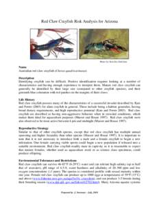 Red Claw Crayfish Risk Analysis for Arizona  Photos by: Stick-Fins Fish Farm Name Australian red claw crayfish (Cherax quadricarinatus)