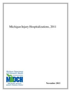 Michigan Injury Hospitalizations, 2011  November 2013 State of Michigan Governor – Rick Snyder, JD, MBA