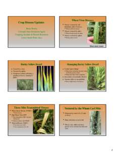 • Bruce Bosley Colorado State Extension Agent Cropping Systems & Natural Resources Lower South Platte Area