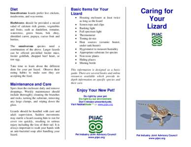 Lizards / Tupinambis / Reptile / Monitor lizards / Agamidae / Sudan plated lizard / Cordylus / Squamata / Herpetology / Teiidae