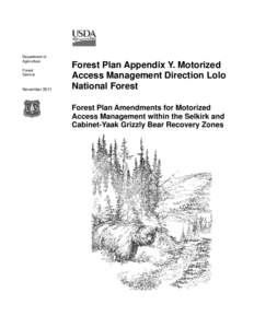 Lolo National Forest / Greater Yellowstone Ecosystem / Montana / Bears / Grizzly bear