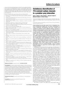 Rough-skinned newt / Ion channel / Sodium channel / Action potential / Coevolution / Membrane potential / Amino acid / Nav1.4 / Biology / Electrophysiology / Tetrodotoxin