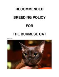 RECOMMENDED BREEDING POLICY FOR THE BURMESE CAT Photo: Ian Jarvis