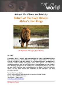 Natural World Press and Publicity  Return of the Giant Killers: Africa’s Lion Kings  TX: Wednesday 19th August, 9pm, BBC Two