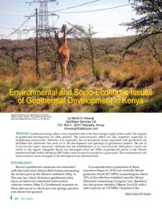 Environmental and Socio-Economic Issues of Geothermal Development in Kenya Giraffes stand near the electrical lines from the Olkaria I power station. The giraffes are almost as tall as the telephone pole. Photos by M. Mw