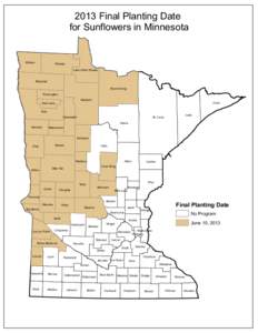 2013 Final Planting Date for Sunflowers in Minnesota Kittson  Roseau