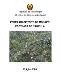 República de Moçambique Ministério da Administração Estatal