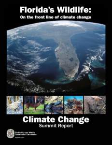 Climate Change Summit Report Summit sponsors Caribbean Conservation Corporation The Caribbean Conservation Corporation is a Florida-based, not-for-profit