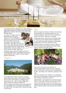 Sunflower Retreats Yoga Holidays in 2014 Sunower Retreats Holidays has been offering yoga retreats based on health and relaxation, good food, Italian culture and nature for over