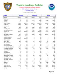 Virginia Landings Bulletin Quarterly Commercial Fisheries Statistics 2008 1st Quarter (January-March) Preliminary Report Print Date: October 27, 2008, 1:00 pm