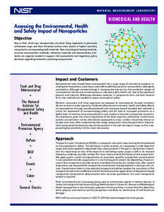 BIOMEDICAL AND HEALTH Assessing the Environmental, Health and Safety Impact of Nanoparticles Objective Due to their small size, nanoparticles can enter living organisms in previously unforeseen ways and their immense sur