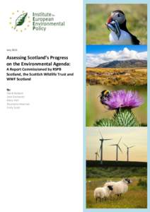 JulyAssessing Scotland’s Progress on the Environmental Agenda: A Report Commissioned by RSPB Scotland, the Scottish Wildlife Trust and