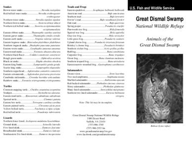 Microsoft Word - Animals of GDS.docx