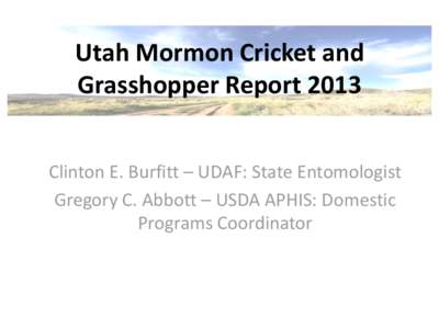 Utah Mormon Cricket and Grasshopper Report 2013 Clinton E. Burfitt – UDAF: State Entomologist Gregory C. Abbott – USDA APHIS: Domestic Programs Coordinator
