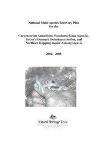 National Multi-species Recovery Plan for the Carpentarian Antechinus Pseudantechinus mimulus, Butler’s Dunnart Sminthopsis butleri and Northern Hopping-mouse Notomys aquilo, [removed]