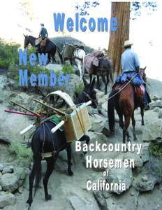 Backcountry Horsemen of California Who We Are and What We Do! Backcountry Horsemen of California (BCHC) is a group of dedicated men and women working to preserve the historic use of trails with recreational pack and sad