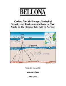 Carbon Dioxide Storage: Geological Security and Environmental Issues – Case Study on the Sleipner Gas field in Norway