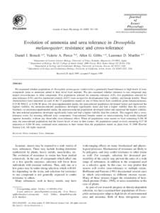 Journal of Insect Physiology[removed]–769 www.elsevier.com/locate/jinsphys Evolution of ammonia and urea tolerance in Drosophila melanogaster: resistance and cross-tolerance Daniel J. Borash