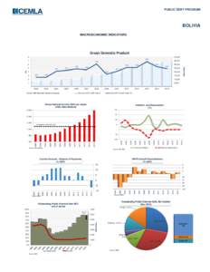 PUBLIC DEBT PROGRAM  BOLIVIA MACROECONOMIC INDICATORS  Gross Domestic Product