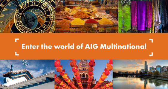 Enter the world of AIG Multinational  AIG Multinational Wherever you are today, wherever you want to be tomorrow, you will have the protection and service you need to do business with confidence. With