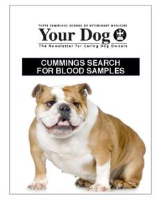 cummings search for blood sampLES Cummings’ Research Seeks Blood Samples of Dogs With the Disease and Unaffected Large Breeds If you have a Golden Retriever or other breed with hemangiosarcoma, you might want to