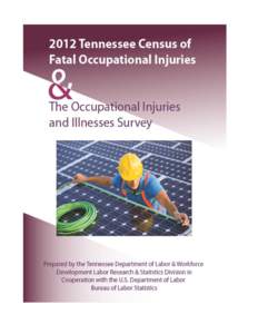 CENSUS OF FATAL OCCUPATIONAL INJURIES AND THE OCCUPATIONAL INJURIES AND ILLNESSES SURVEY TENNESSEE, 2012 Bill Haslam, Governor State of Tennessee