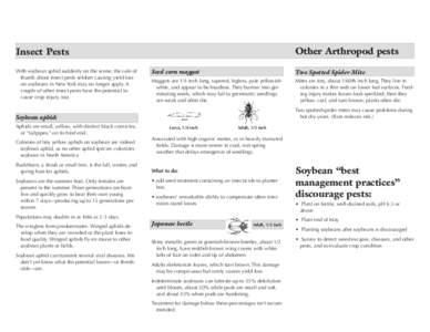 Other Arthropod pests  Insect Pests With soybean aphid suddenly on the scene, the rule of thumb about insect pests seldom causing yield loss on soybeans in New York may no longer apply. A