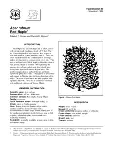Fact Sheet ST-41 November 1993 Acer rubrum Red Maple1 Edward F. Gilman and Dennis G. Watson2