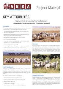 Project Material KEY ATTRIBUTES Key ingredients for successful beef production are: • Adaptability to the environment • Production potential EFFICIENY The Brahman’s improved efficiency of production over other bree