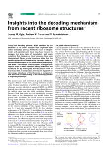 Review  TRENDS in Biochemical Sciences 259