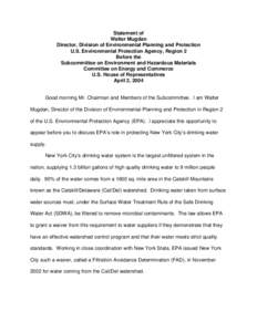 EPA: Statement of Walter Mugdan, Directory, Division of Environmental Planning and Protection, USEPA, Region 2, April 2, 2004