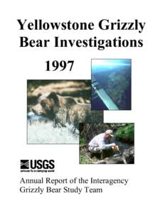 Yellowstone Grizzly Bear Investigations 1997 Annual Report of the Interagency Grizzly Bear Study Team