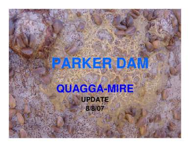 PARKER DAM QUAGGA-MIRE UPDATE[removed]  Test Plates were cleaned on