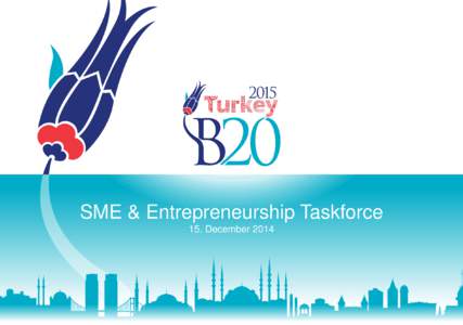 SME & Entrepreneurship Taskforce 15. December 2014 Task force organization structure  Melih Yurter