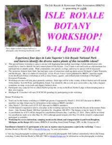 The Isle Royale & Keweenaw Parks Association (IRKPA) is sponsoring its eighth ISLE ROYALE BOTANY WORKSHOP!