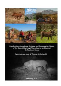 Desert warthog, northern Kenya  De Jong & Butynski 2014 Distribution, Abundance, Ecology, and Conservation Status of the Desert Warthog (Phacochoerus aethiopicus) in Northern Kenya
