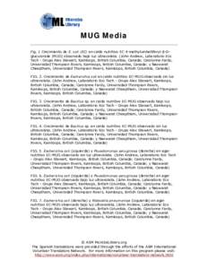 Microsoft Word - mug_media_spanish.doc