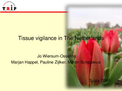 Tissue vigilance in The Netherlands Jo Wiersum-Osselton Marjan Happel, Pauline Zijlker, Martin Schipperus  Tulipa TRIP