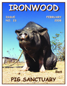 IRONWOOD IRONWOOD ISSUE NO. 23