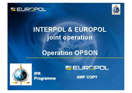 Agencies of the European Union / Europol / Interpol / Law enforcement agency / Police / Organized crime / Law enforcement / Government / Law