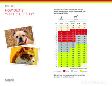 Senior Care: How old is your pet really?
