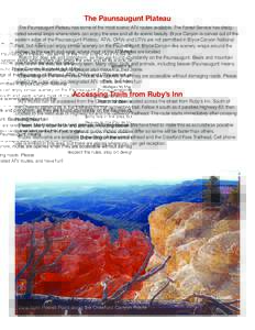 Bryce Canyon / Geomorphology / Paunsaugunt Plateau / Bryce Canyon National Park / Colorado Plateau / Utah / Geography of the United States