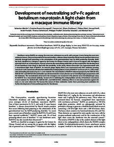 Paper Type  mAbs 6:2, 446–459; March/April 2014; © 2014 Landes Bioscience Development of neutralizing scFv-Fc against botulinum neurotoxin A light chain from