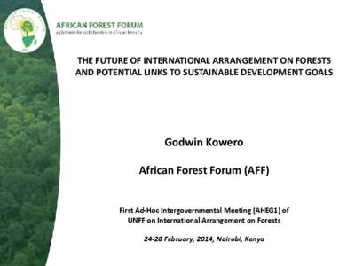 THE FUTURE OF INTERNATIONAL ARRANGEMENT ON FORESTS AND POTENTIAL LINKS TO SUSTAINABLE DEVELOPMENT GOALS Godwin Kowero African Forest Forum (AFF)