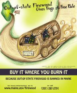 Concept and artwork by Kalyn Van Valkenburgh Student at Capital Area Technical Center BUY IT WHERE YOU BURN IT BECAUSE OUT-OF-STATE FIREWOOD IS BANNED IN MAINE for more information, go to