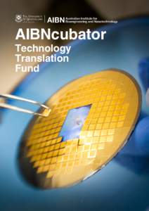 AIBNcubator Technology Translation Fund  1