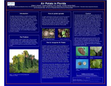 Air Potato in Florida William A. Overholt/1, Kenneth Langeland/2, Eric C. Morgan/1, Jim Moll/3 and Ken Gioeli/4 1Indian River Research and Education Center, University of Florida, Florida, Fort Pierce 34945; 2 Center for