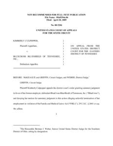 NOT RECOMMENDED FOR FULL-TEXT PUBLICATION File Name: 09a0294n.06 Filed: April 20, 2009 NoUNITED STATES COURT OF APPEALS FOR THE SIXTH CIRCUIT